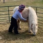 petting farm carousel acres